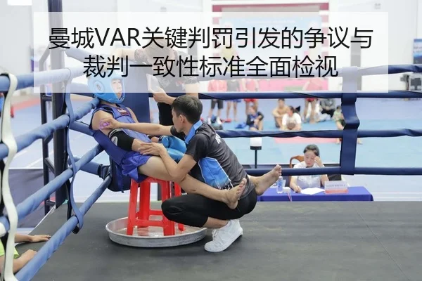 man-cheng-guan-jian-pan-fa-yin-fa-de-zheng-yi-yu-cai-pan-yi-zhi-xing-biao-zhun-quan-mian-jian-shi-2-981.jpg