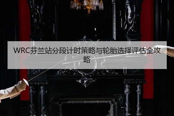 WRC芬兰站分段计时策略与轮胎选择评估全攻略（PG）